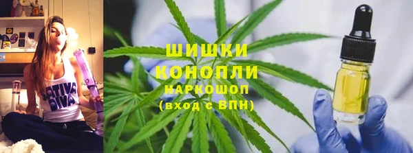 гашик Белоозёрский