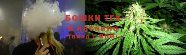 амф Белокуриха