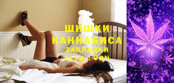 гашик Белоозёрский