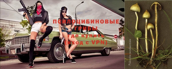 гашик Белоозёрский