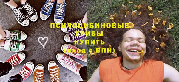 амф Белокуриха