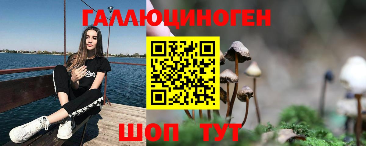 Псилоцибиновые грибы прущие грибы Саяногорск