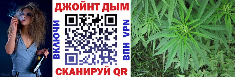 Конопля план  Саяногорск 